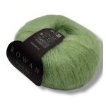 col. K0014 celery 
